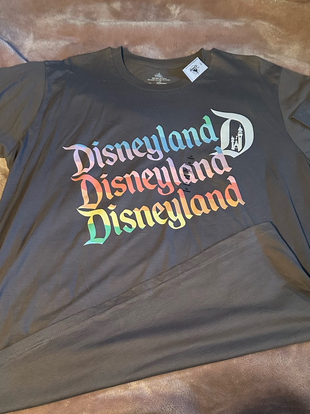 Disney Charcoal Short Sleeve Tee with Rainbow Disneyland Print